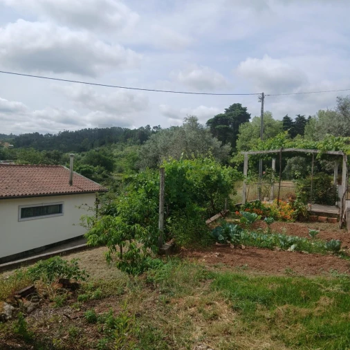 Terreno para Venda em Assafarge e Antanhol Foto 3