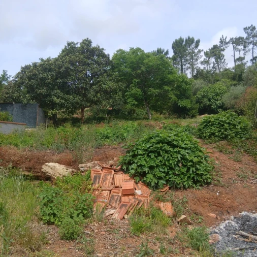 Terreno para Venda em Assafarge e Antanhol Foto 15