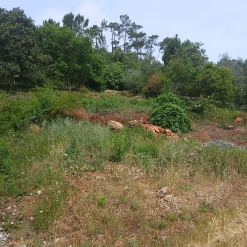 Terreno para Venda em Assafarge e Antanhol Foto 23