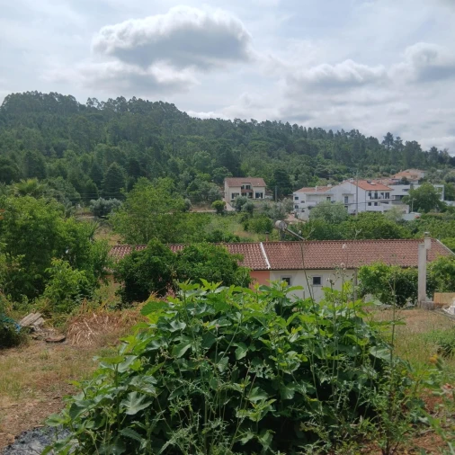 Terreno para Venda em Assafarge e Antanhol Foto 7