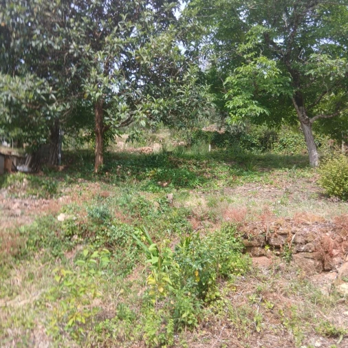Terreno para Venda em Assafarge e Antanhol Foto 18