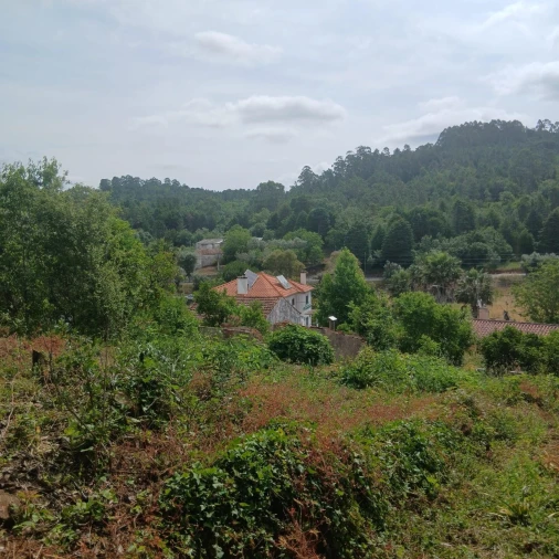 Terreno para Venda em Assafarge e Antanhol Foto 26