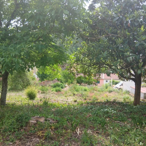 Terreno para Venda em Assafarge e Antanhol Foto 21
