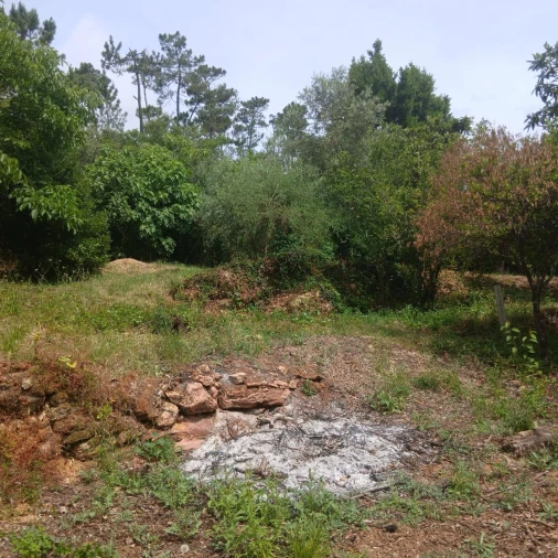 Terreno para Venda em Assafarge e Antanhol Foto 17