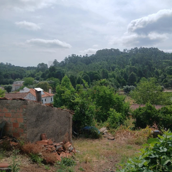 Terreno para Venda em Assafarge e Antanhol Foto 4