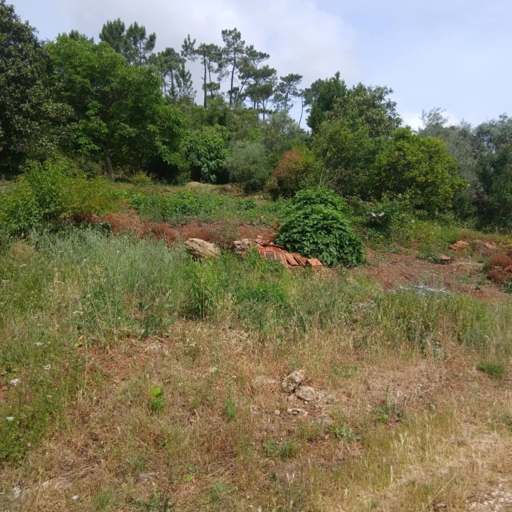 Terreno para Venda em Assafarge e Antanhol Foto 27