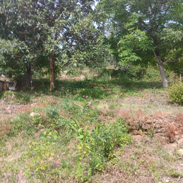 Terreno para Venda em Assafarge e Antanhol Foto 18