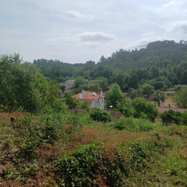 Terreno para Venda em Assafarge e Antanhol Foto 26