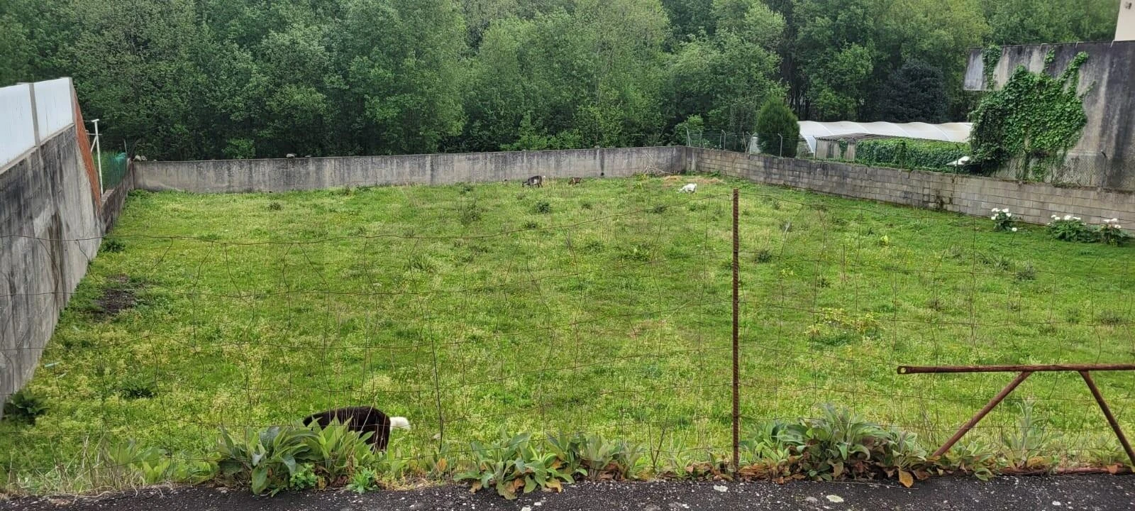 Terreno para Venda em Pousa Foto 3