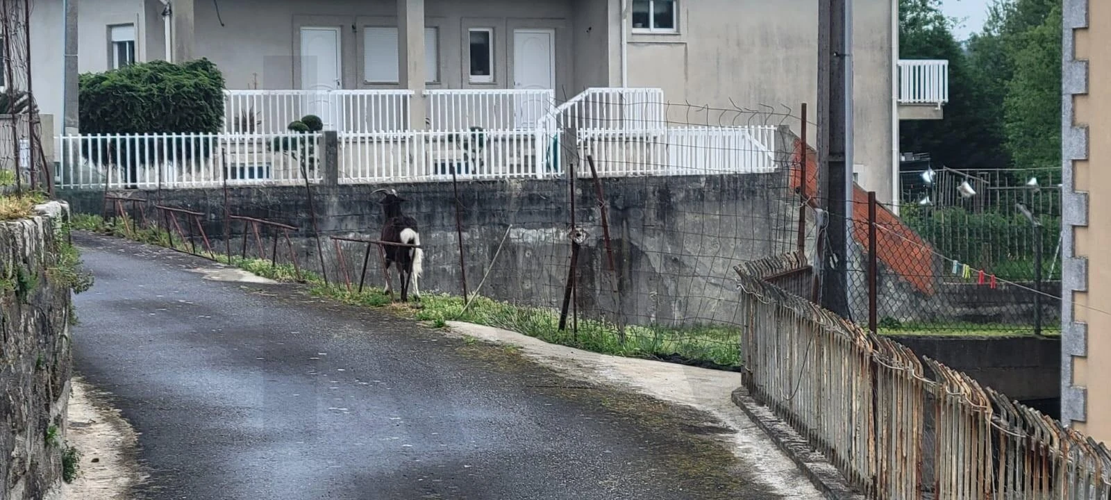 Terreno para Venda em Pousa Foto 8
