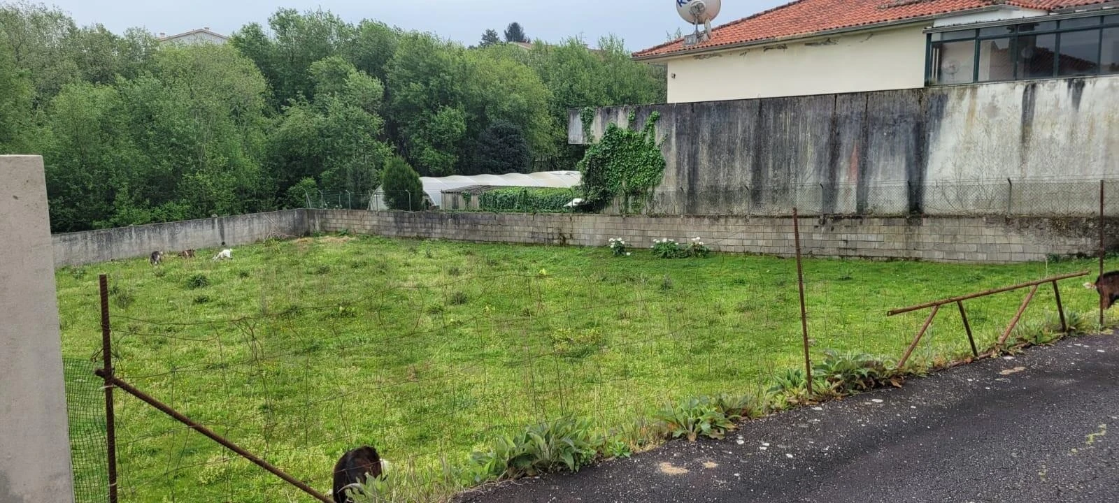 Terreno para Venda em Pousa Foto 6