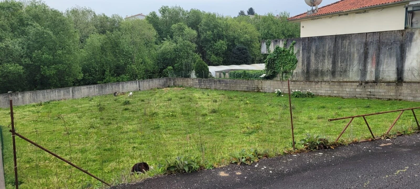 Terreno para Venda em Pousa Foto 2