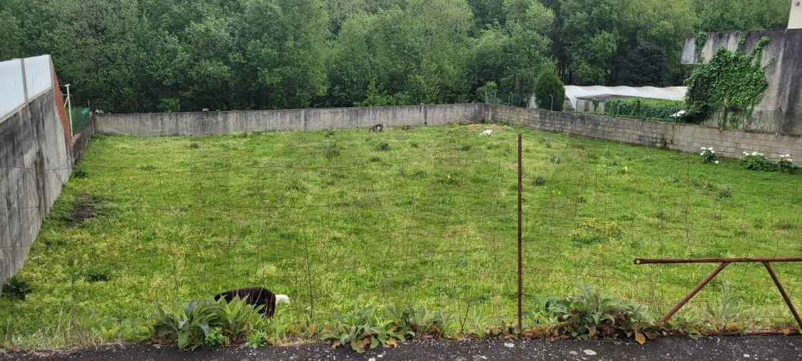 Terreno para Venda em Pousa Foto 3