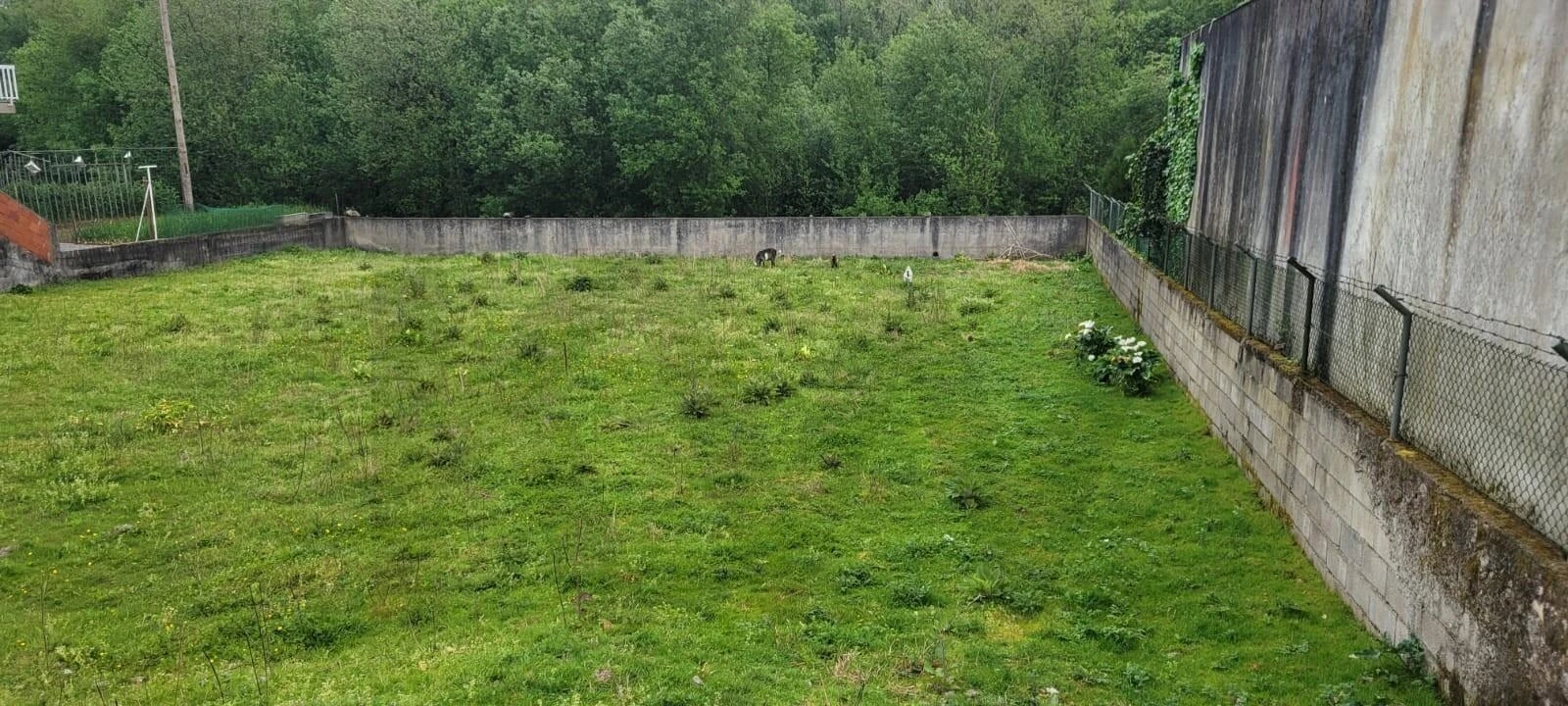 Terreno para Venda em Pousa Foto 4