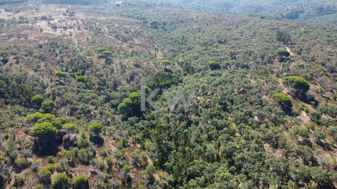 Terreno para Venda em Melides Foto 8