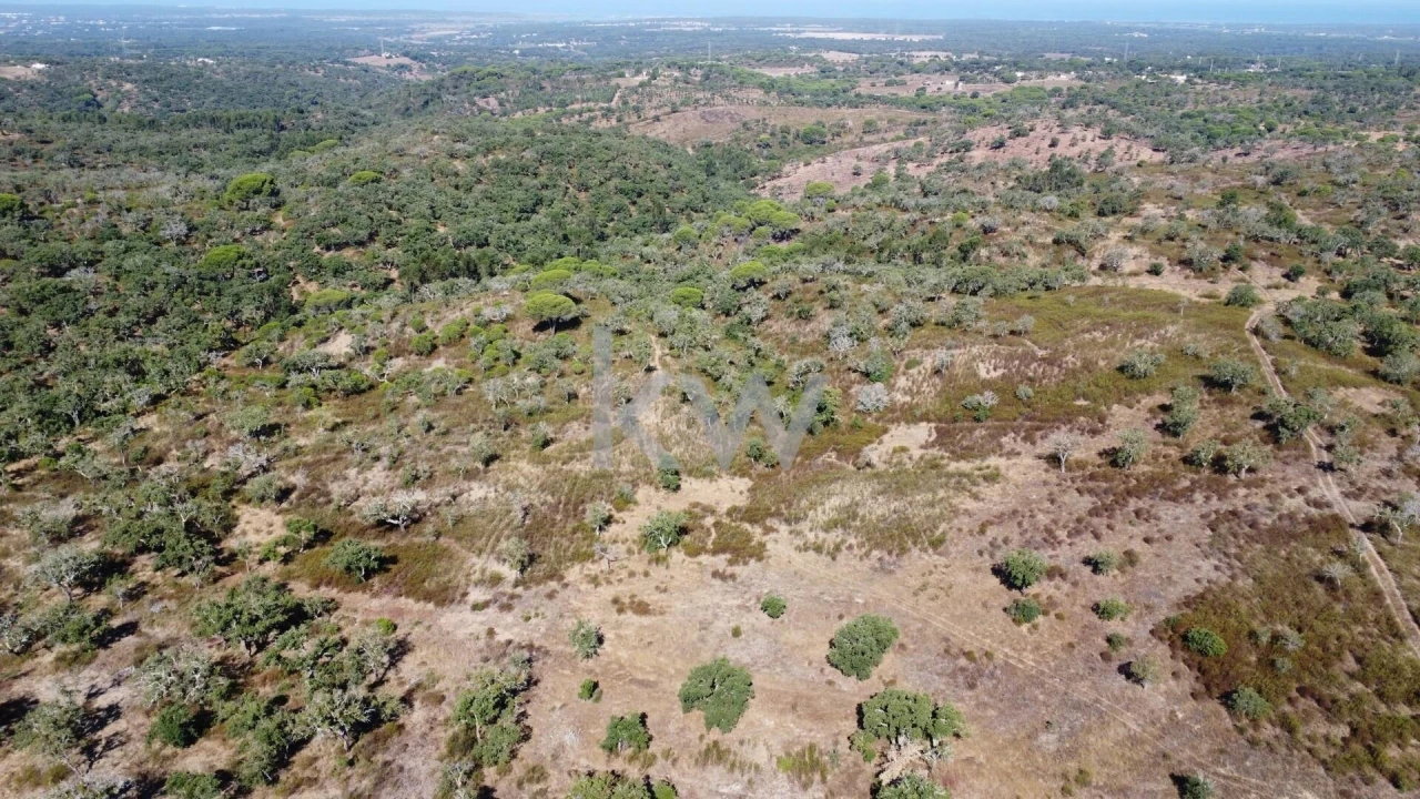 Terreno para Venda em Melides Foto 4
