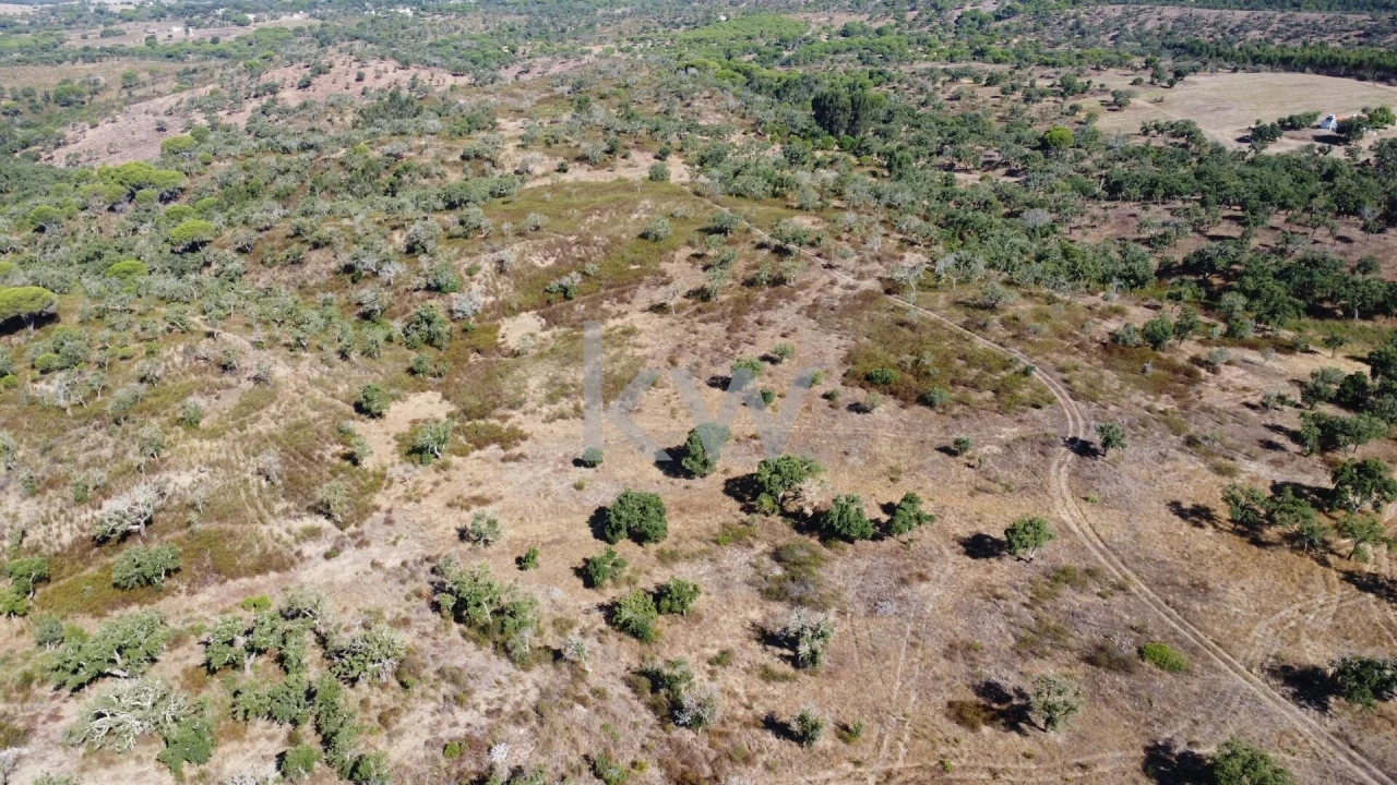 Terreno para Venda em Melides Foto 5
