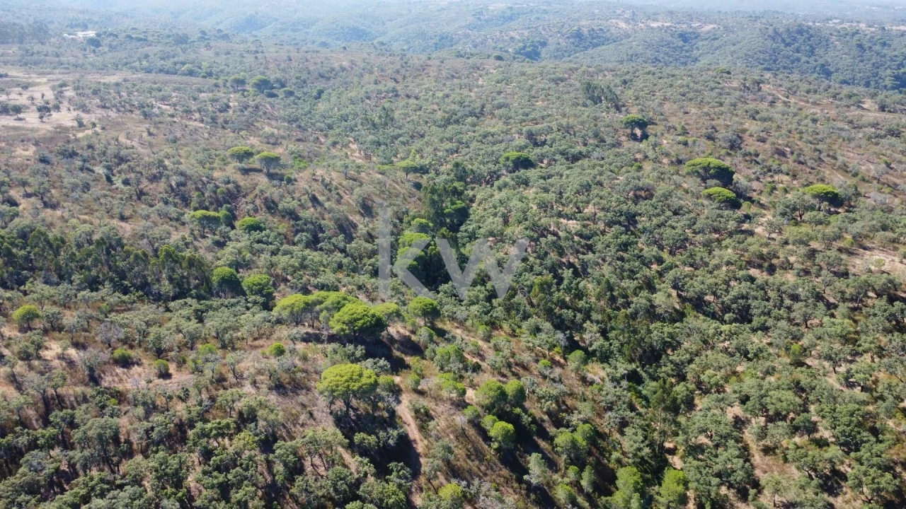 Terreno para Venda em Melides Foto 6