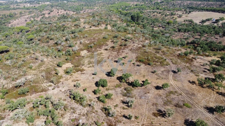 Terreno para Venda em Melides Foto 5