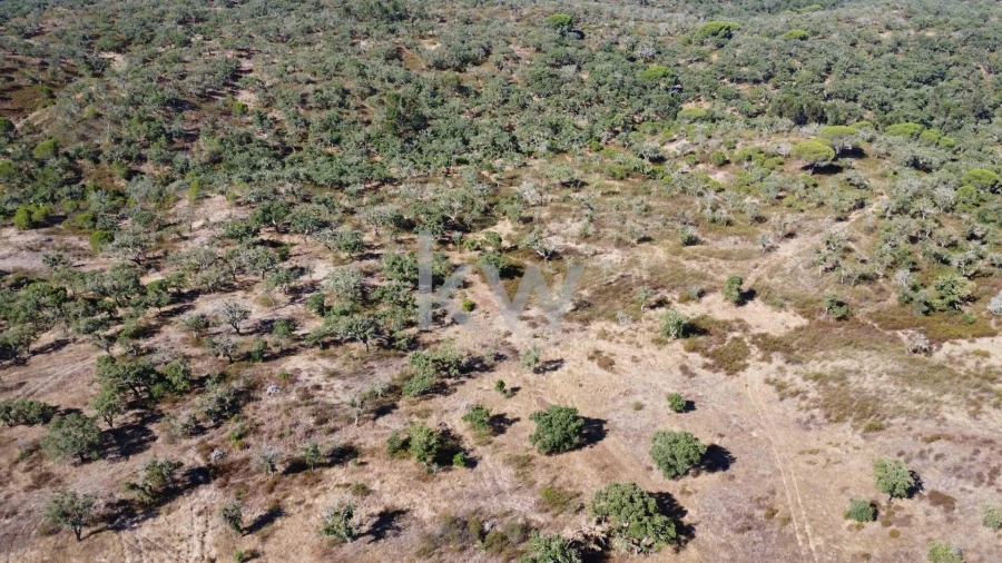 Terreno para Venda em Melides Foto 3