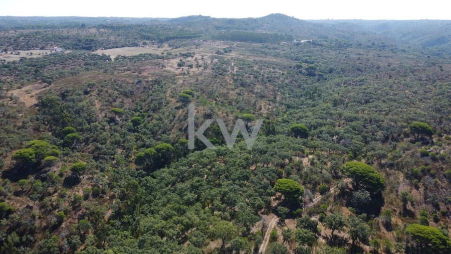 Terreno para Venda em Melides Foto 9