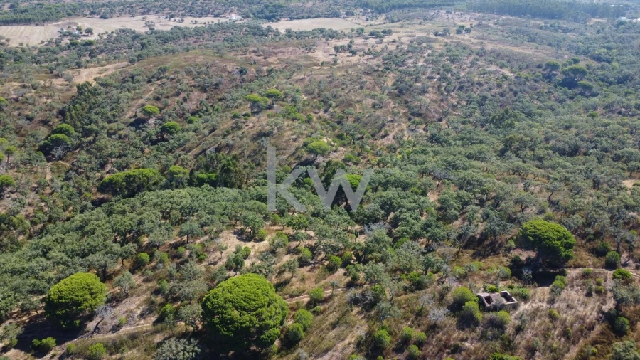 Terreno para Venda em Melides Foto 10