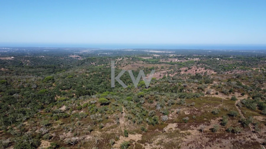 Terreno para Venda em Melides Foto 1