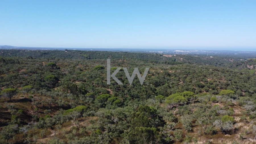 Terreno para Venda em Melides Foto 15
