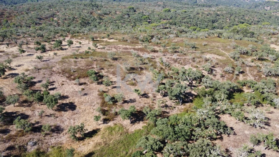 Terreno para Venda em Melides Foto 2