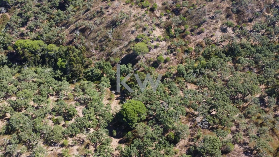 Terreno para Venda em Melides Foto 12