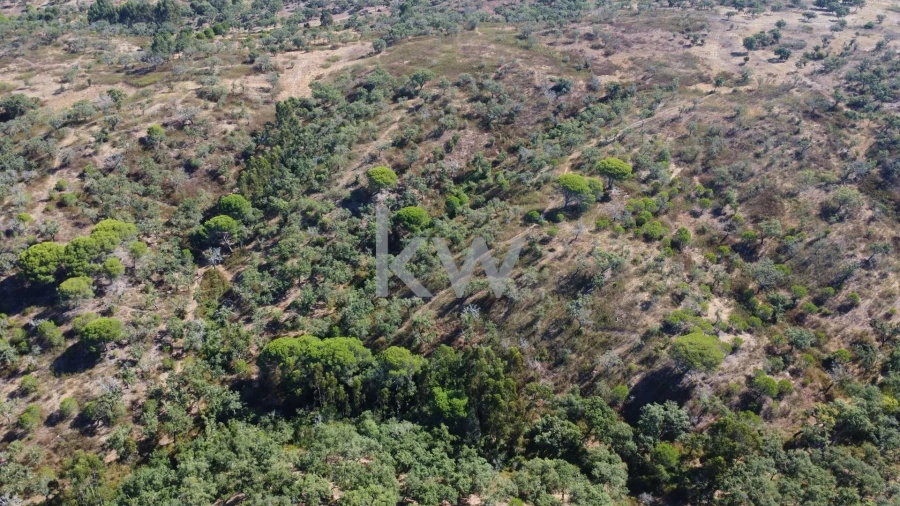 Terreno para Venda em Melides Foto 13