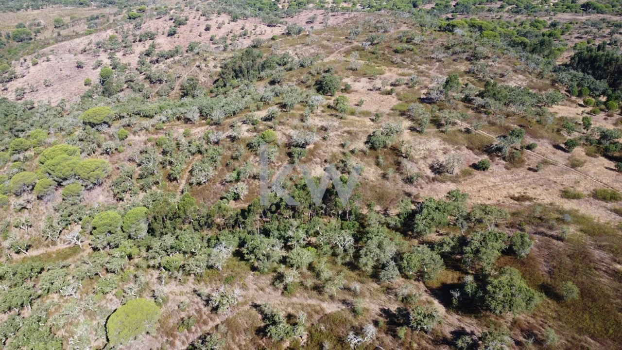 Terreno para Venda em Melides Foto 14
