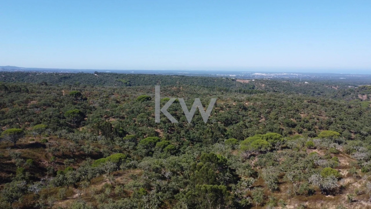 Terreno para Venda em Melides Foto 15