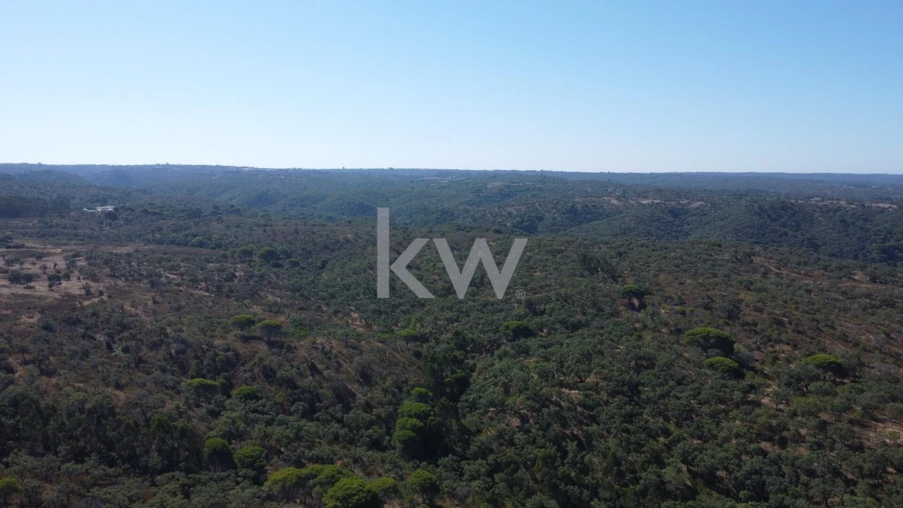 Terreno para Venda em Melides Foto 7