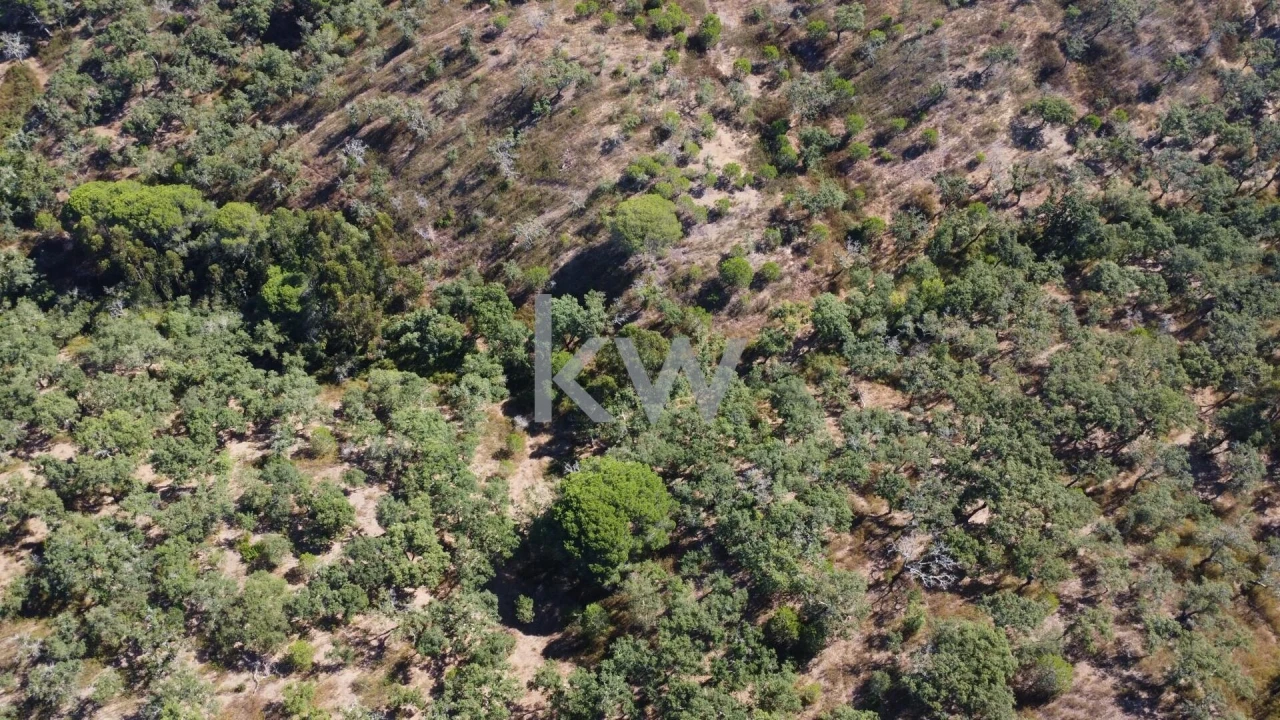 Terreno para Venda em Melides Foto 12
