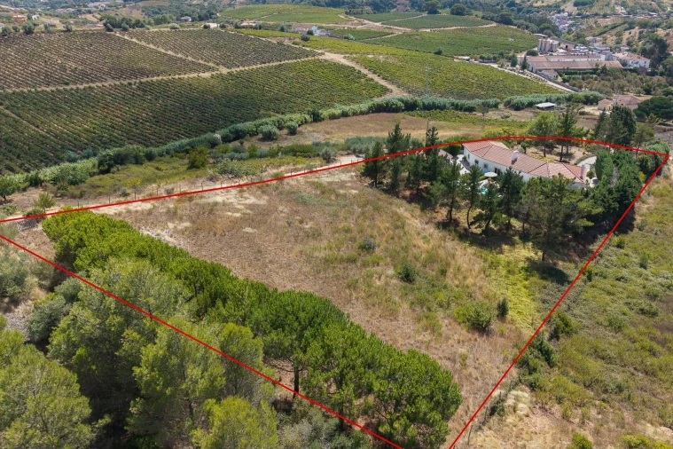 Moradia T4 para Venda em Olhalvo Foto 76