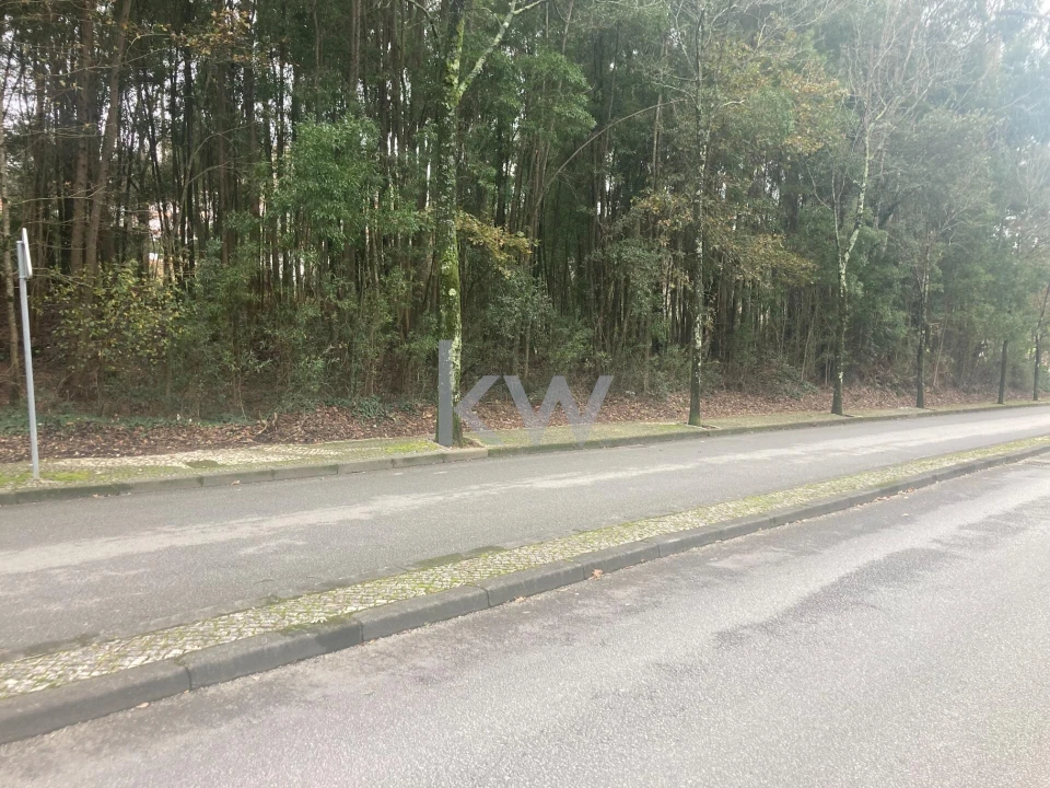 Terreno para Venda em São João da Madeira Foto 5