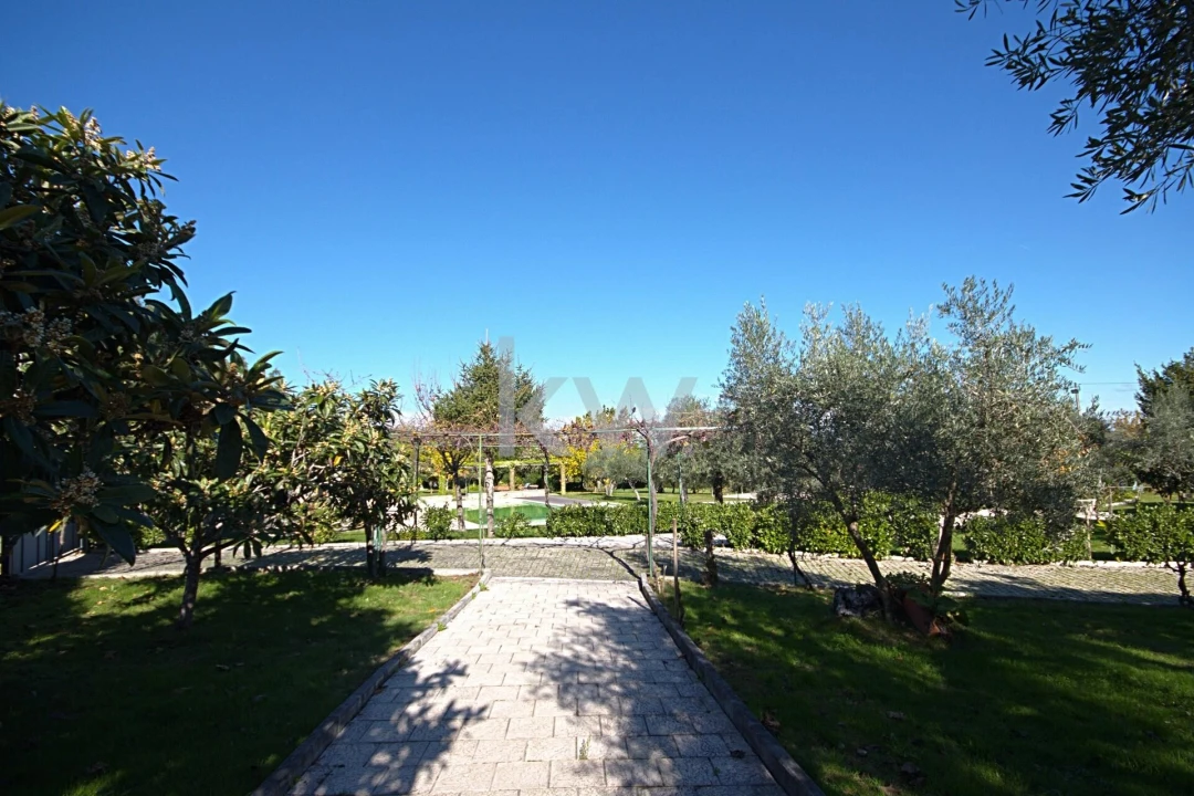 Quinta T5 para Venda em Três Povos Foto 30