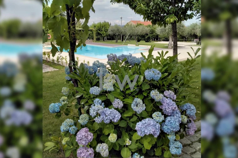 Quinta T5 para Venda em Três Povos Foto 40