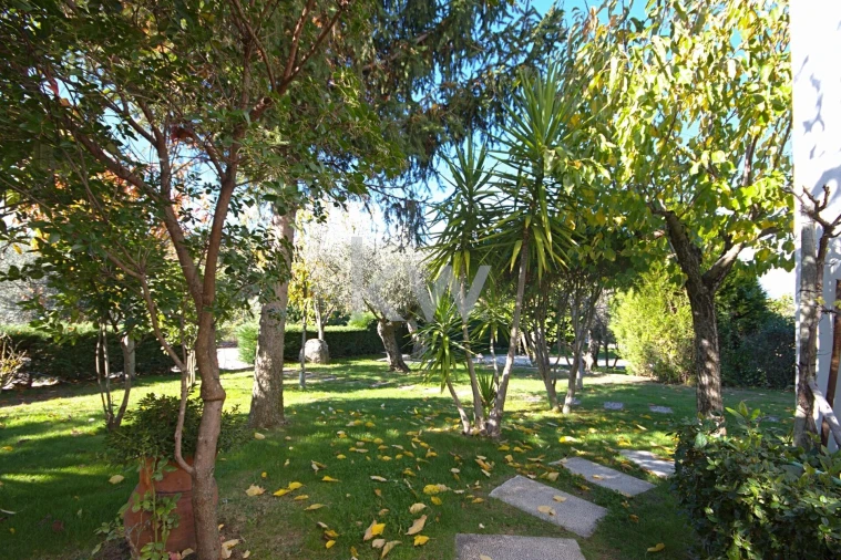 Quinta T5 para Venda em Três Povos Foto 36