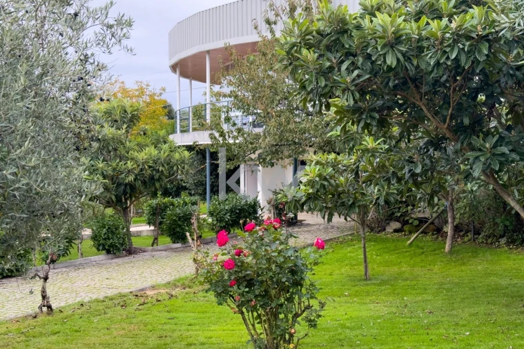 Quinta T5 para Venda em Três Povos Foto 5