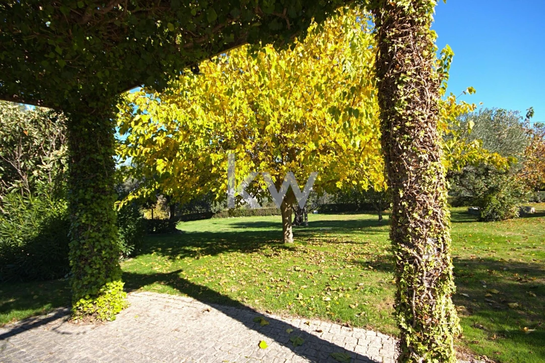Quinta T5 para Venda em Três Povos Foto 34