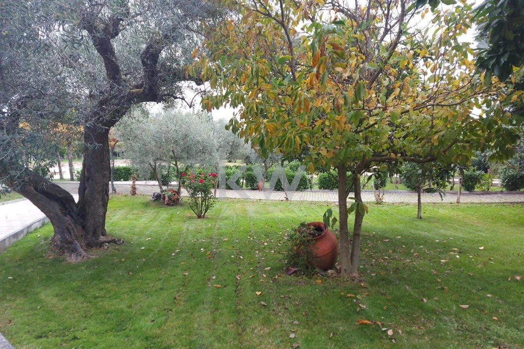 Quinta T5 para Venda em Três Povos Foto 45