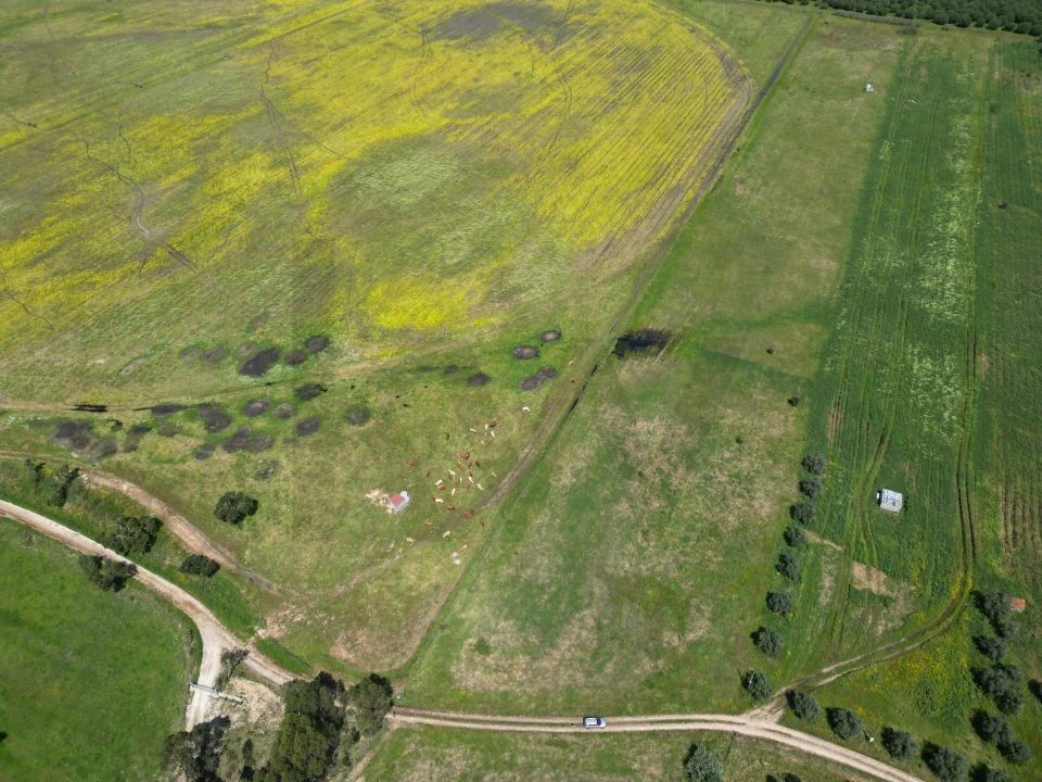 Terreno para Venda em Vale de Cavalos Foto 14