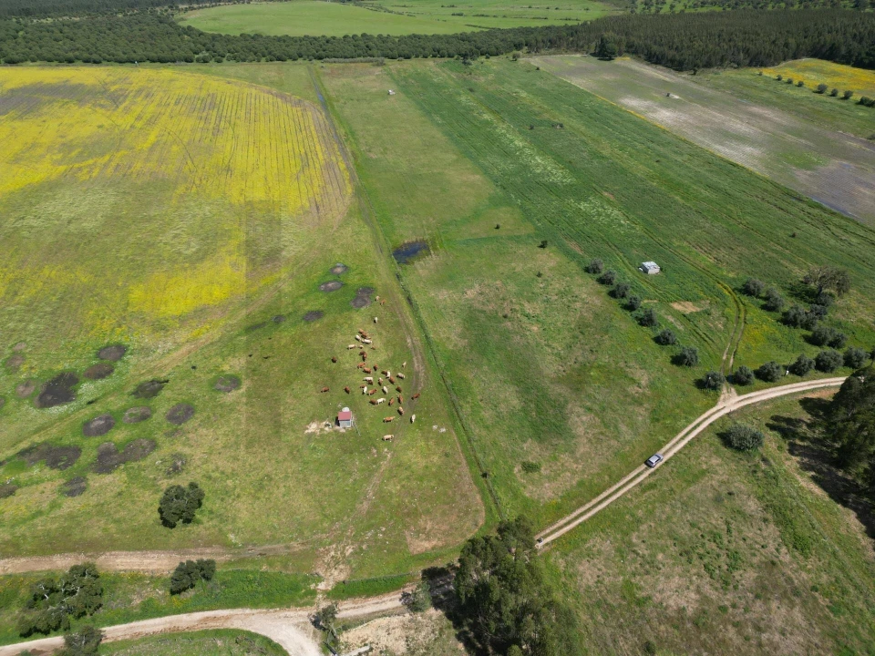 Terreno para Venda em Vale de Cavalos Foto 10