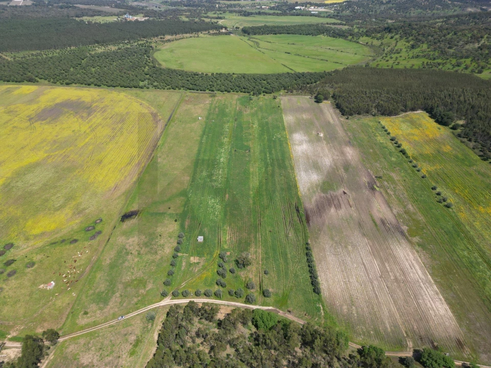 Terreno para Venda em Vale de Cavalos Foto 5