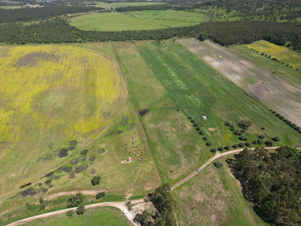 Terreno para Venda em Vale de Cavalos Foto 7