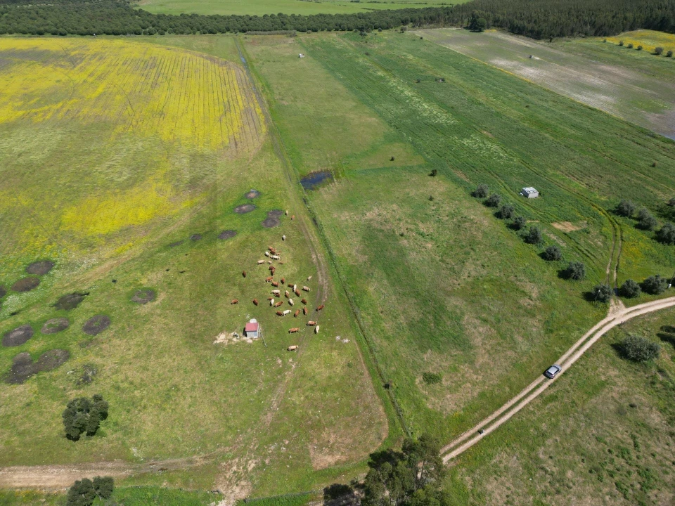 Terreno para Venda em Vale de Cavalos Foto 12