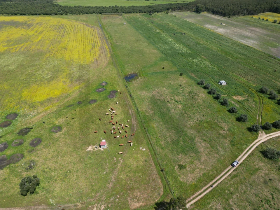 Terreno para Venda em Vale de Cavalos Foto 13