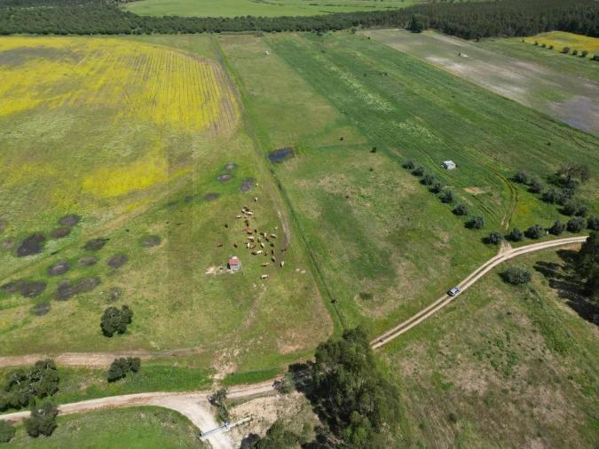 Terreno para Venda em Vale de Cavalos Foto 11